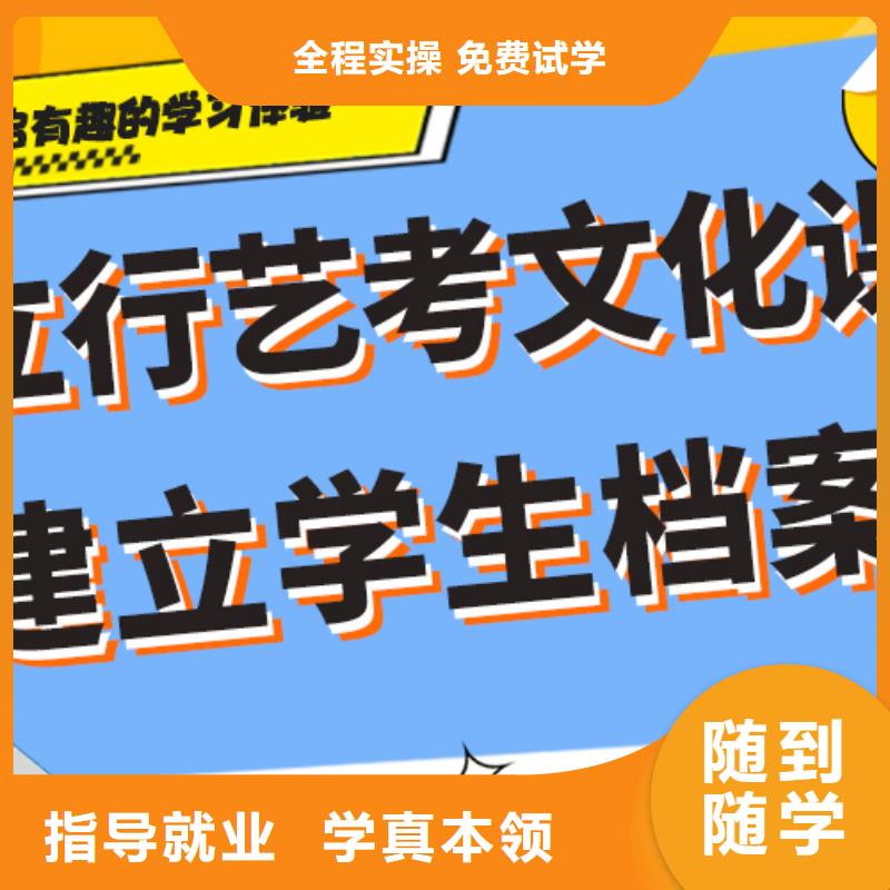 【艺术生文化课,艺考一对一教学学真技术】就业不担心