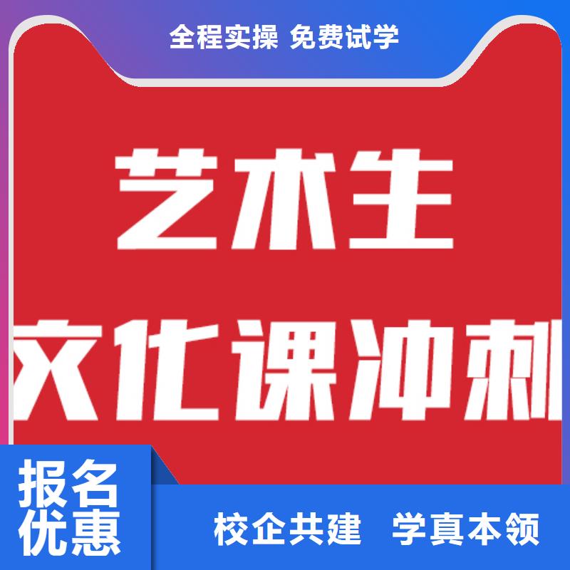 艺考生文化课补习班一年学费老师专业