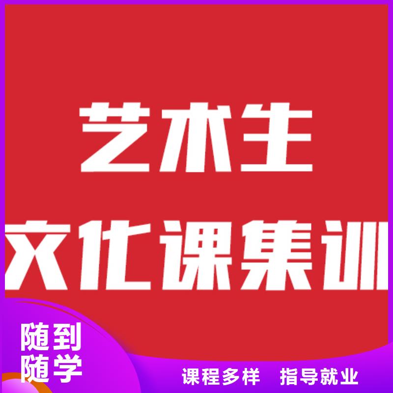 艺考生文化课培训2024报名要求本地供应商