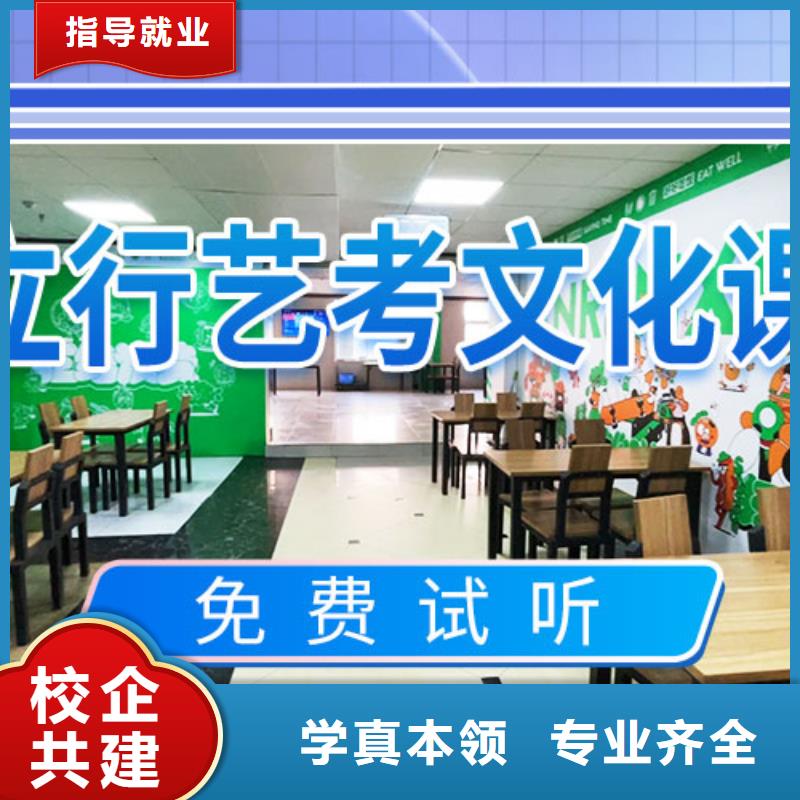 艺考文化课补习,【艺术专业日常训练】理论+实操当地厂家