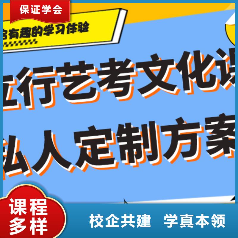 艺体生文化课培训补习哪个好本地公司