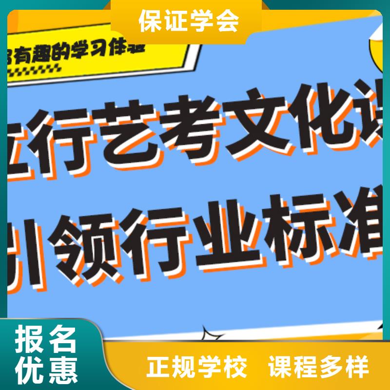 艺考生文化课集训冲刺价格针对性辅导老师专业