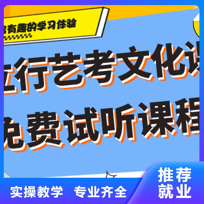 艺术生文化课培训学校哪里学校好精准的复习计划实操教学