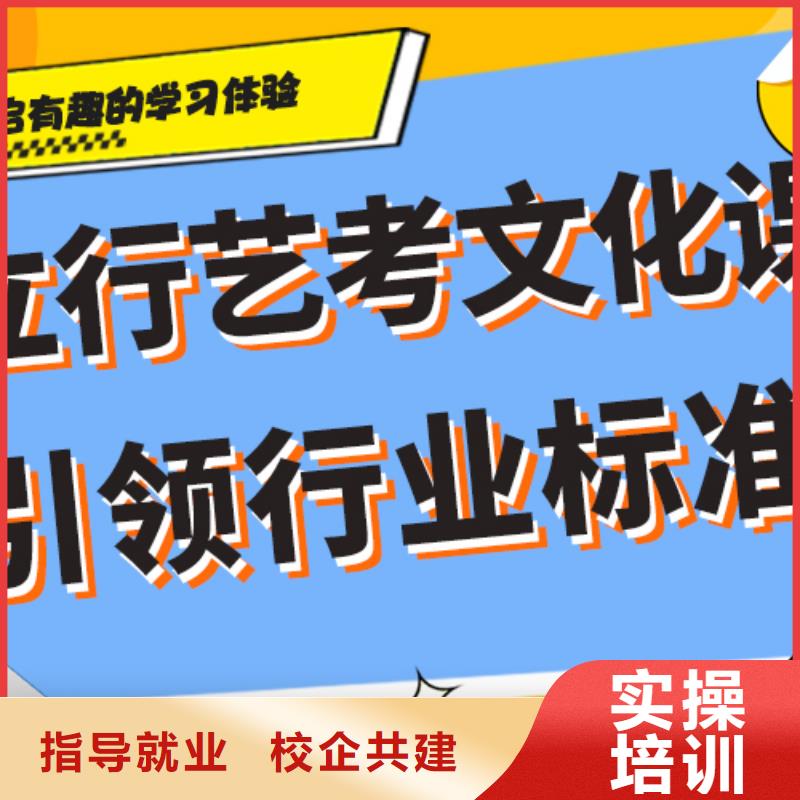 艺体生文化课培训补习哪里好个性化辅导教学理论+实操