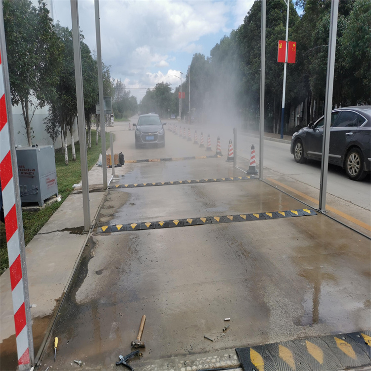 养殖场人员消毒喷雾系统货到付款同城 本地域经销商