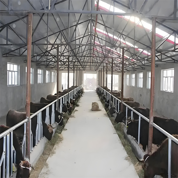 养殖场超声波人员消毒喷雾厂家好口碑口碑好实力强