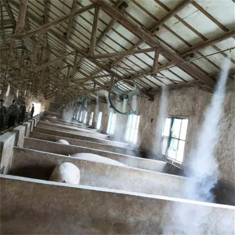 2025专业定制#养殖场车辆消毒通道公司#欢迎咨询本地范围供应商