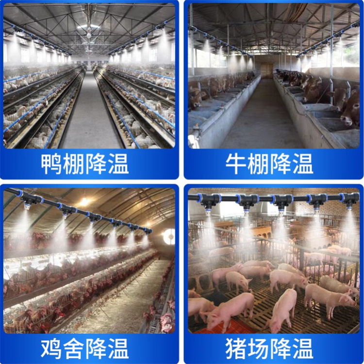 养殖棚喷雾消毒除臭系统厂家-价格实惠