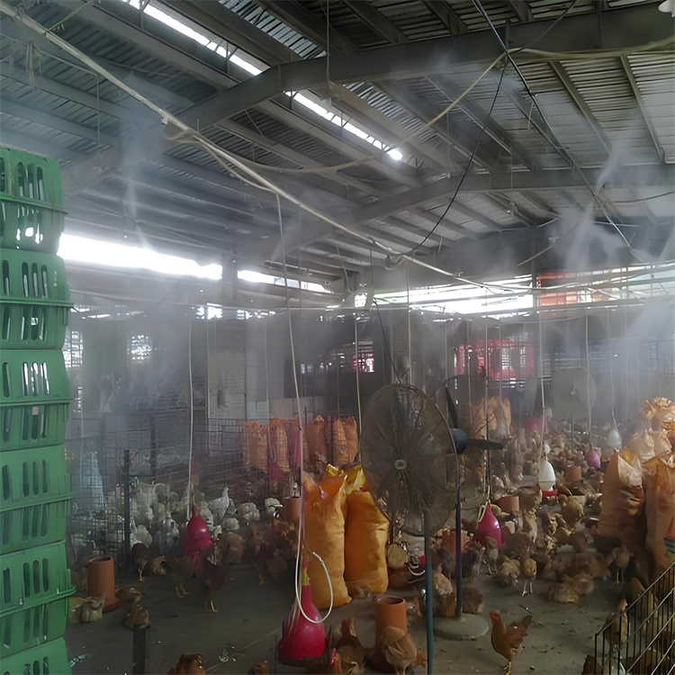 牧场大门喷淋消毒设备定制本地范围供应商