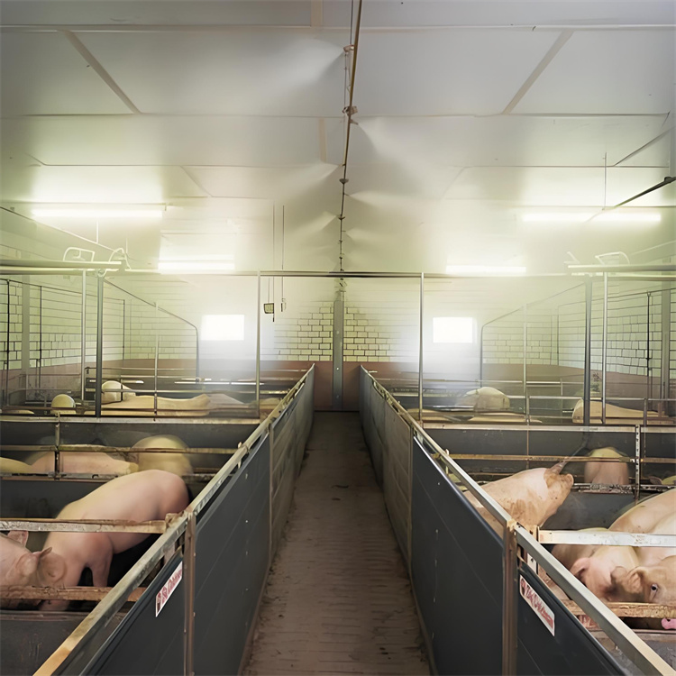 车辆消毒喷淋现货采购优选厂家