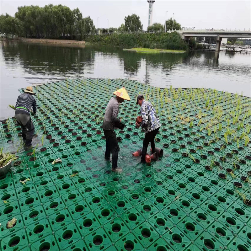 水生植物浮岛就选荷景园林绿化工程有限公司