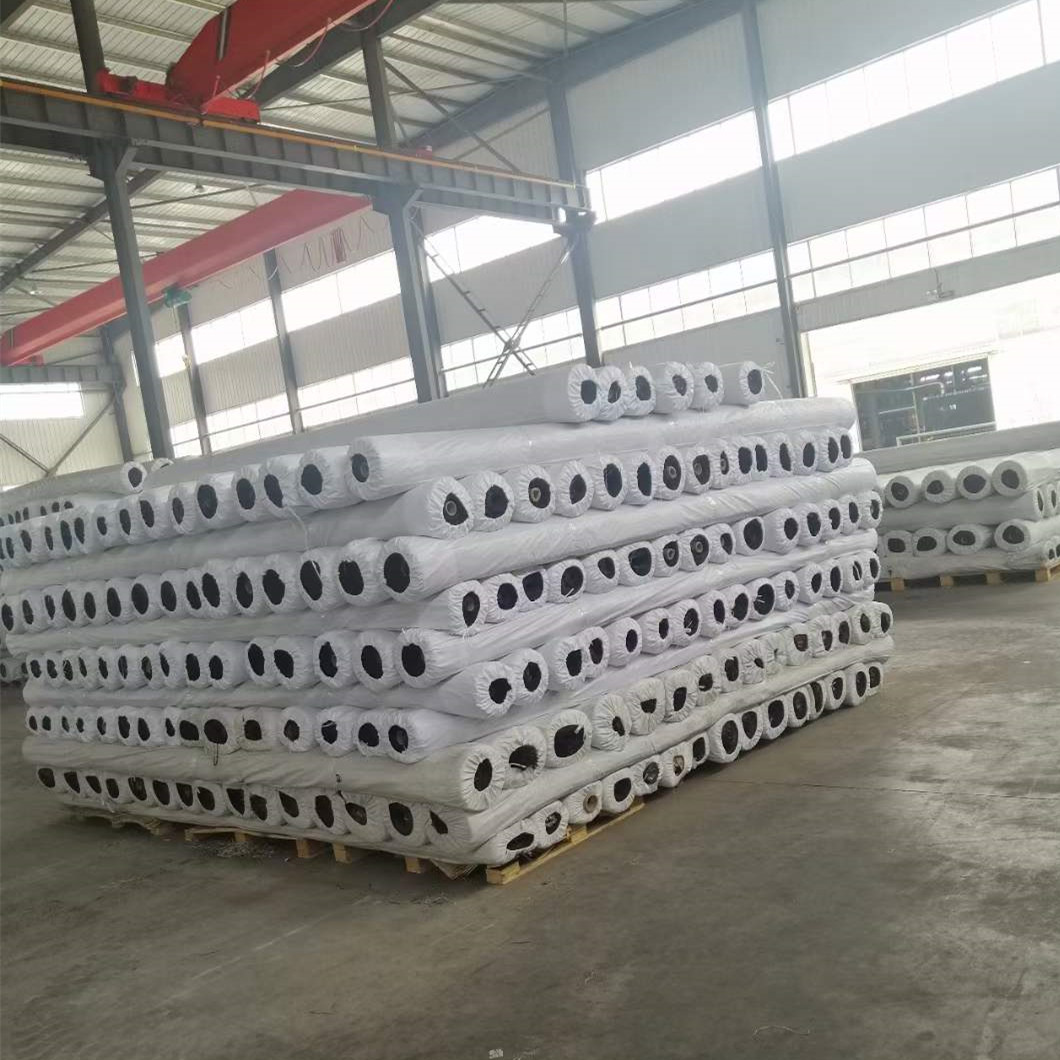 塑料土工格栅生产厂家