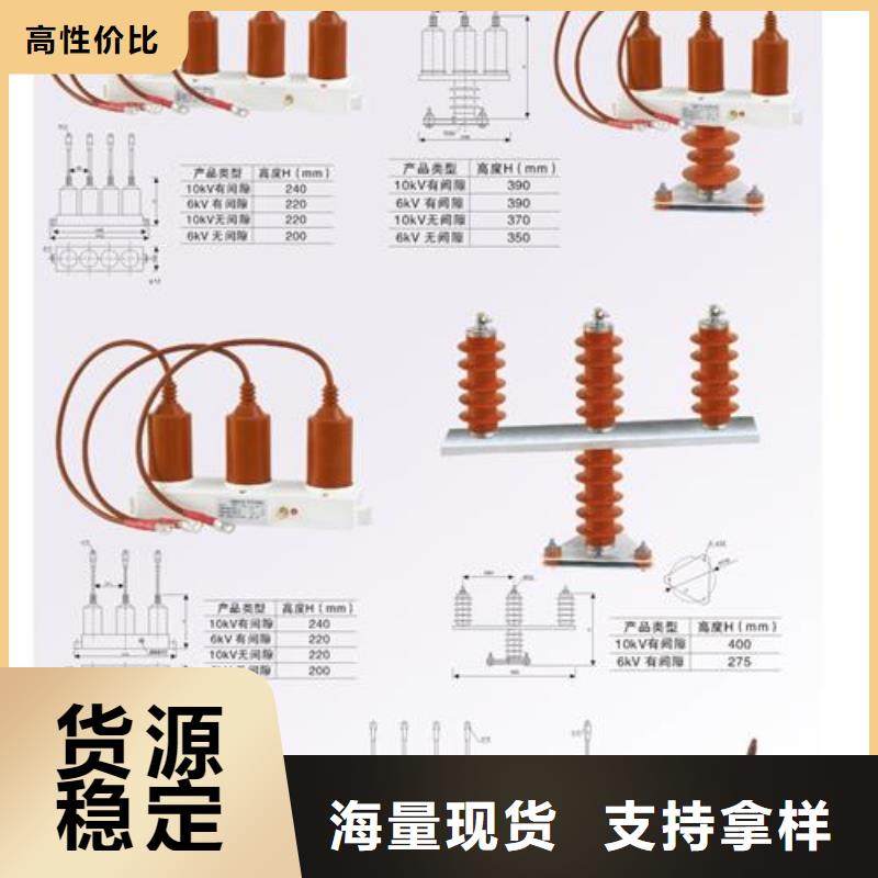 ​计数器氧化锌避雷器价格应用领域高品质诚信厂家