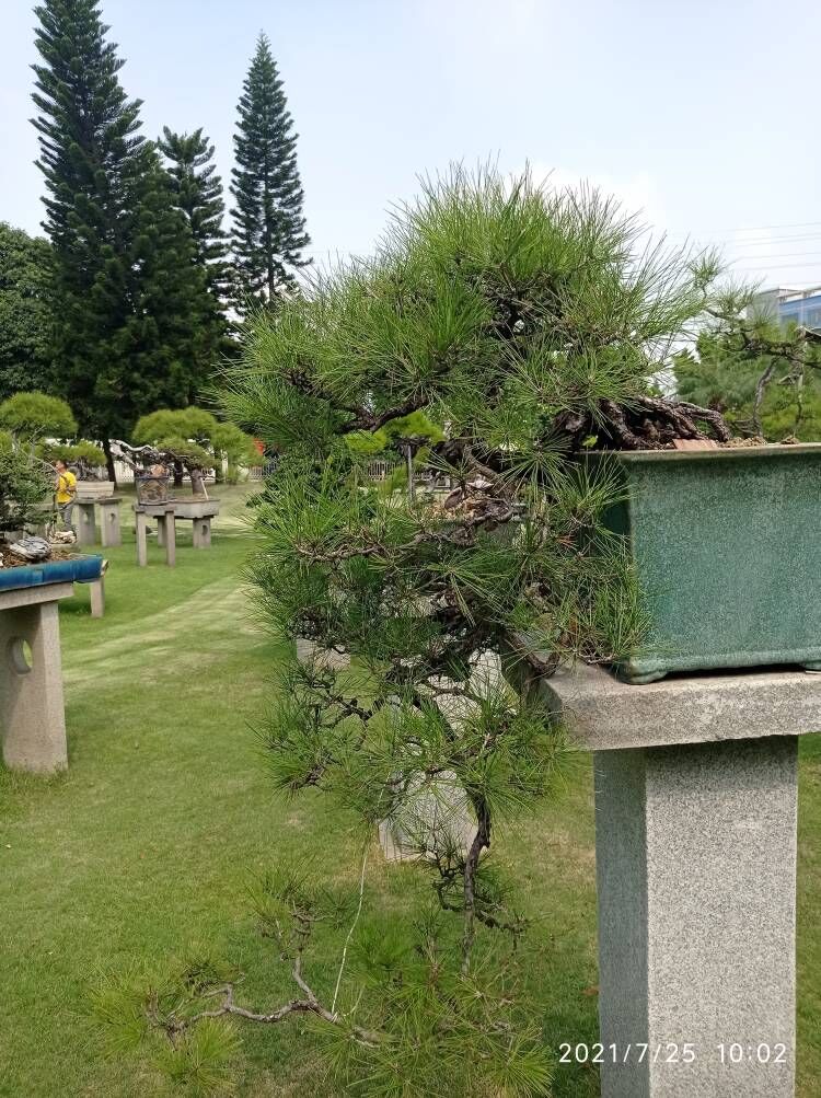 土壤固化剂精心推荐