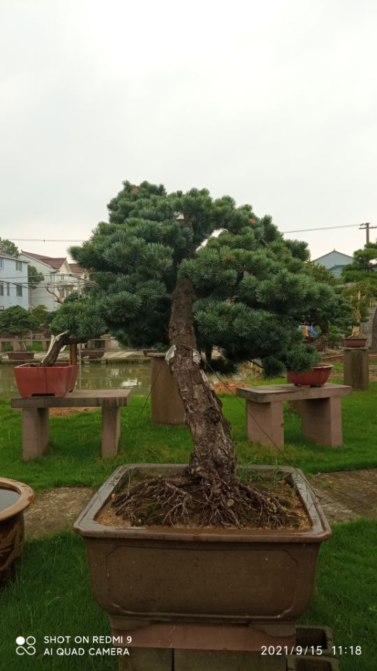 缮沙土固化剂实体大厂同城生产商