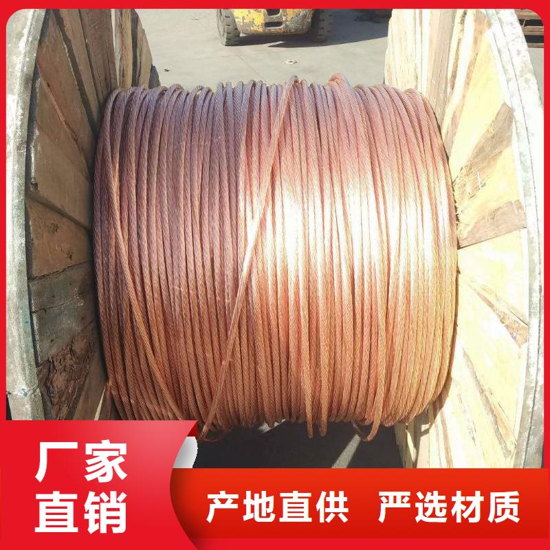 铜绞线紫铜带快速报价型号齐全
