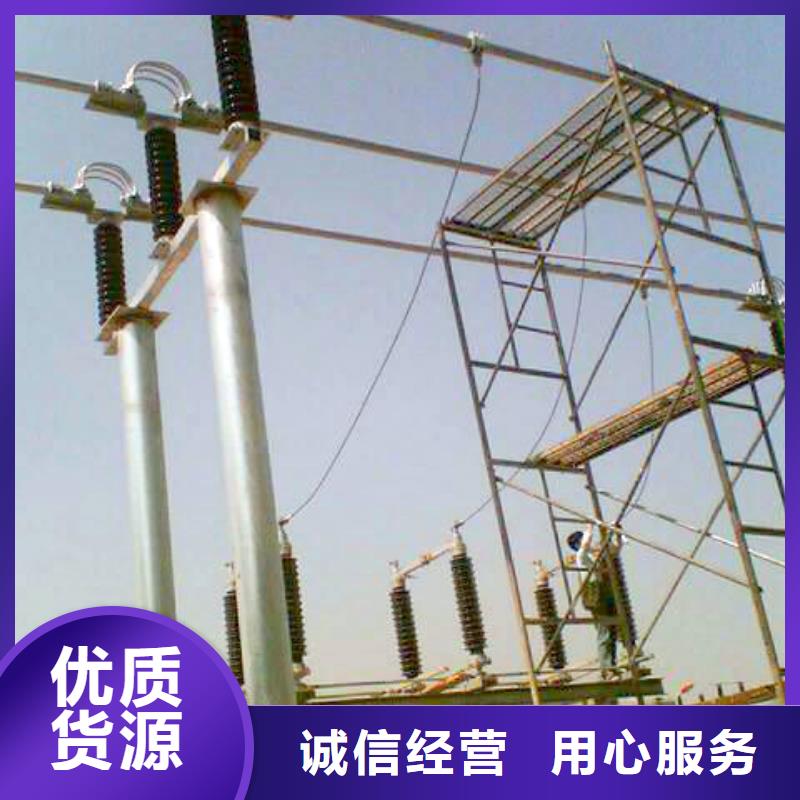 【管母线】铜绞线敢与同行比服务当地供应商