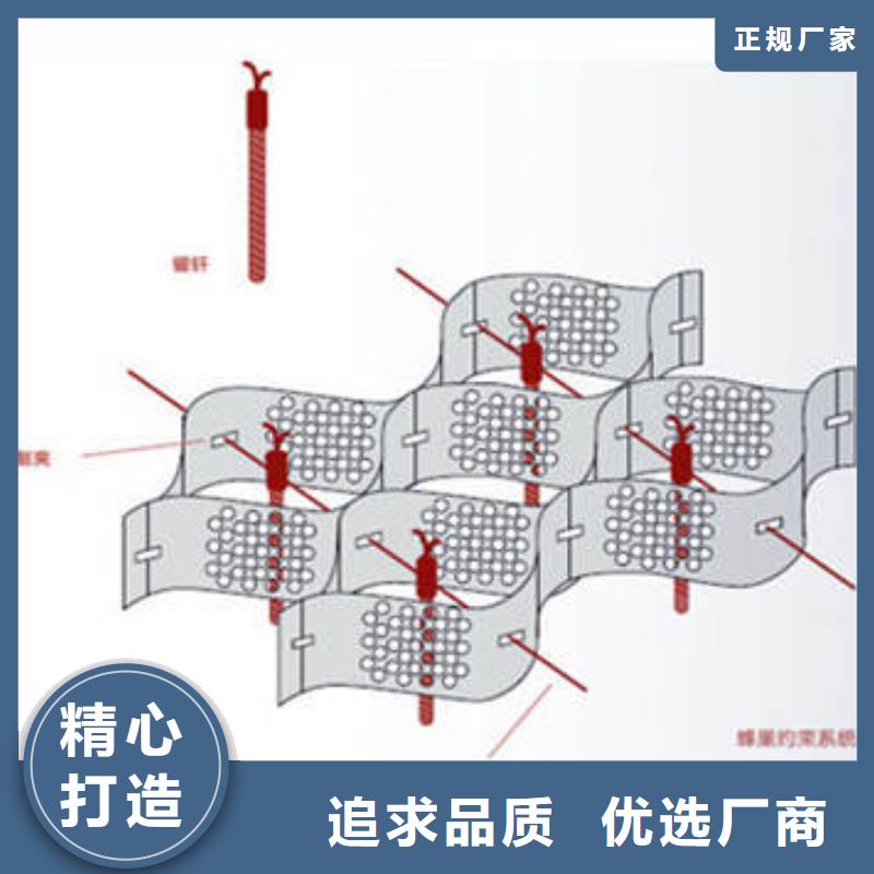 蜂巢格室玻纤格栅重信誉厂家同城生产厂家