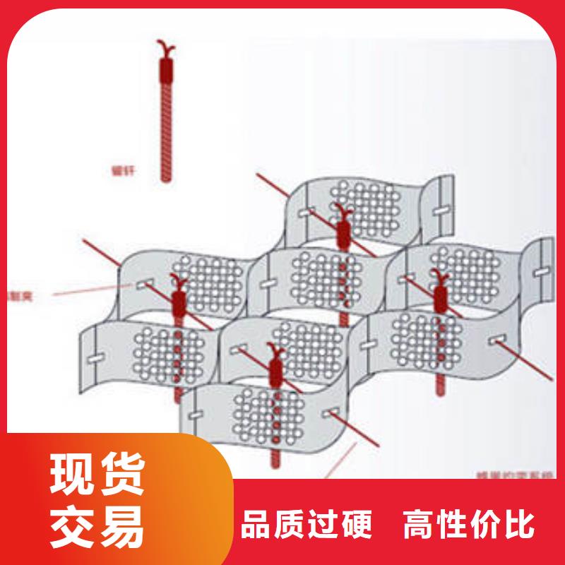 蜂巢格室塑料土工格栅多种规格可选24小时下单发货