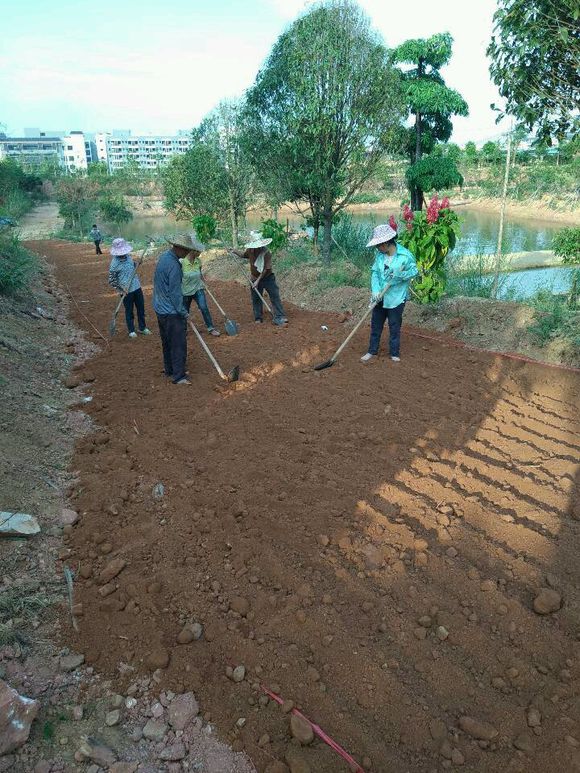 建筑装饰装修沙土固化剂择优推荐