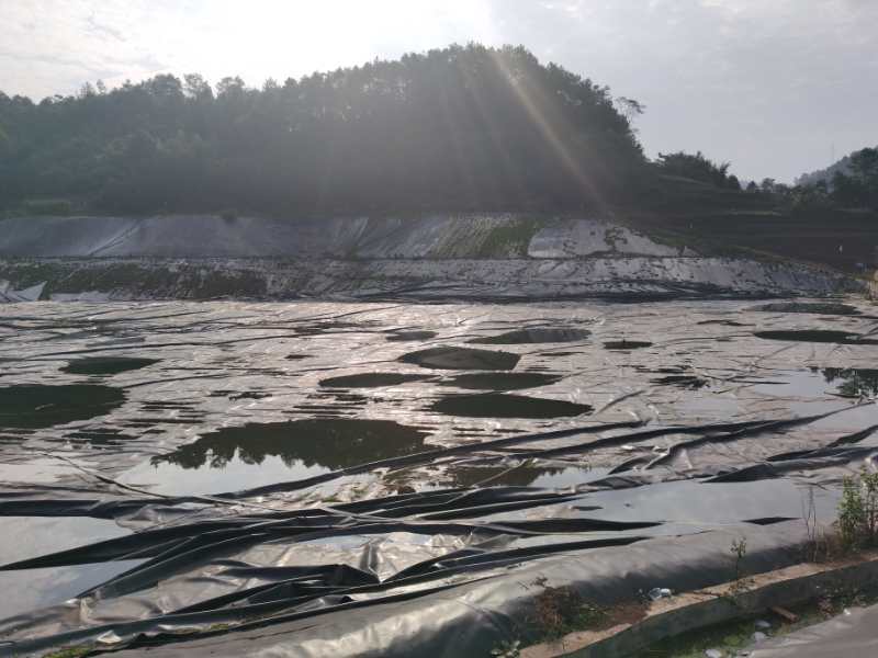 预拌流态固化土污泥原位就地固化信赖推荐